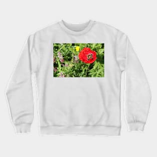 Common poppy (Papaver rhoeas), Algarve, Portugal Crewneck Sweatshirt